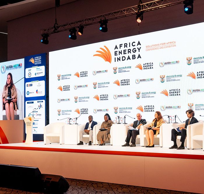 Karin on panel_s